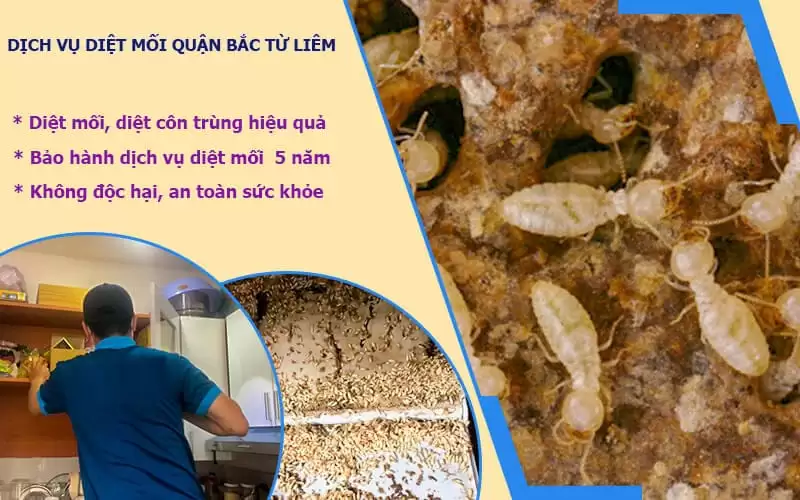 Trang Chủ