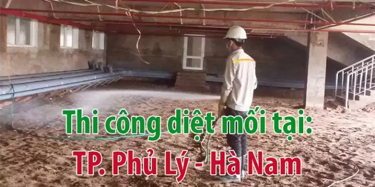 Trang Chủ