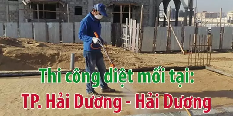 Trang Chủ