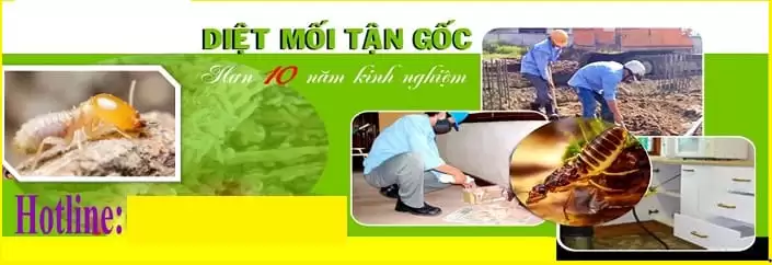Trang Chủ