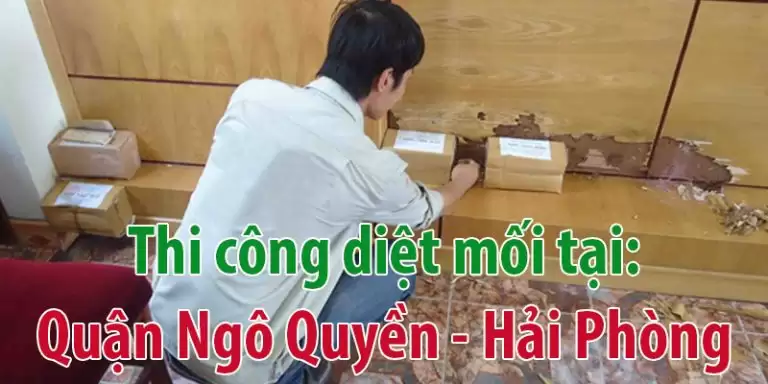 Diệt mối uy tín tại Hải Phòng